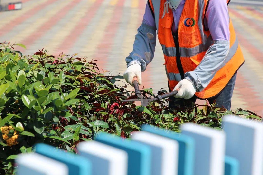 1676277534715324.jpg 微信图片_20230213162408.jpg