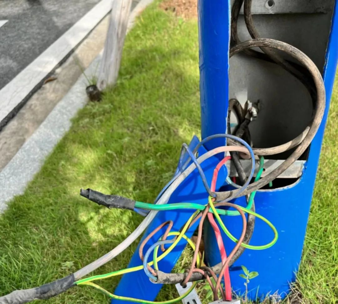 1691652113602228.jpg 15.jpg